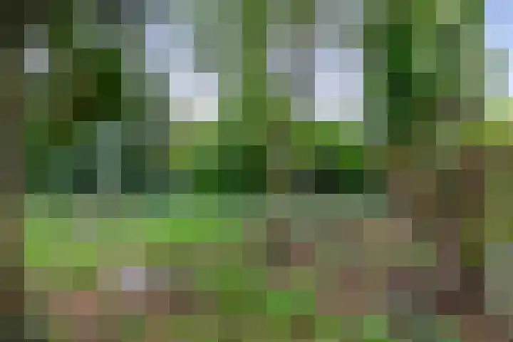 Koningsweg 19 Utrecht thumbnail 26