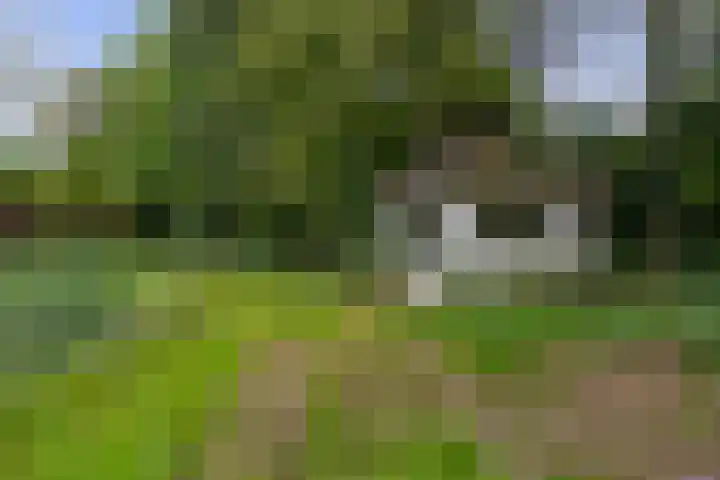 Koningsweg 19 Utrecht thumbnail 27