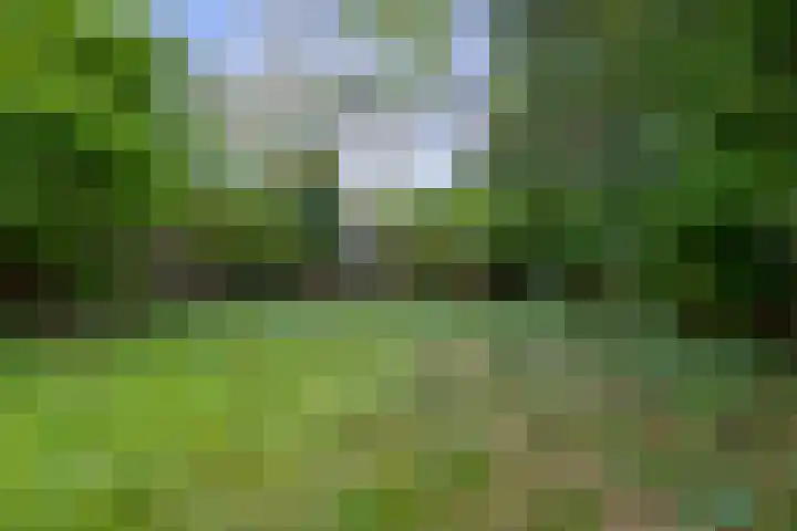 Koningsweg 19 Utrecht thumbnail 29
