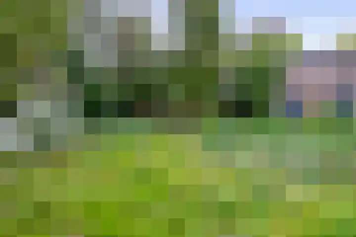 Koningsweg 19 Utrecht thumbnail 31