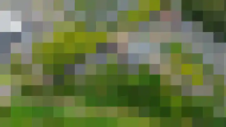 Koningsweg 19 Utrecht thumbnail 65