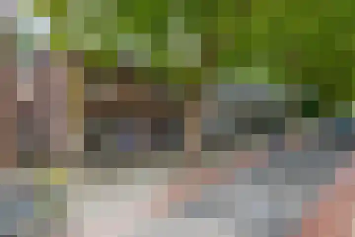 Koningsweg 19 Utrecht thumbnail 7