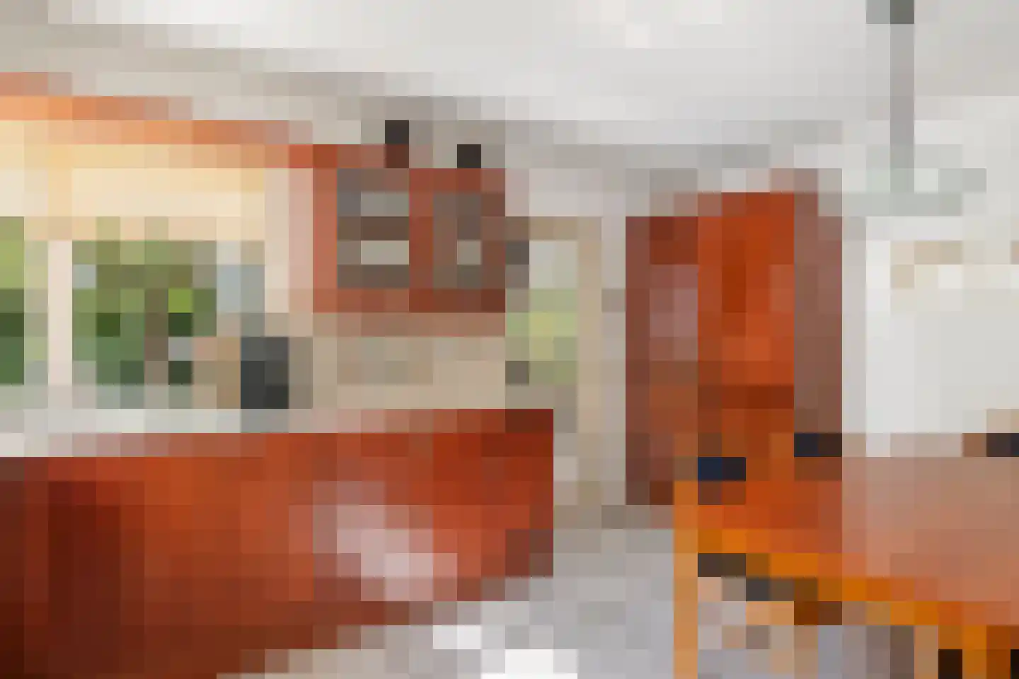 Koningsweg 20 a Geldermalsen thumbnail 12