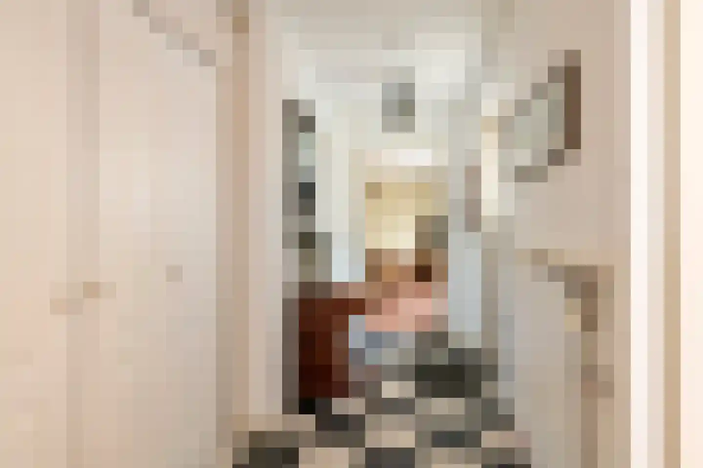 Koningsweg 20 a Geldermalsen thumbnail 14