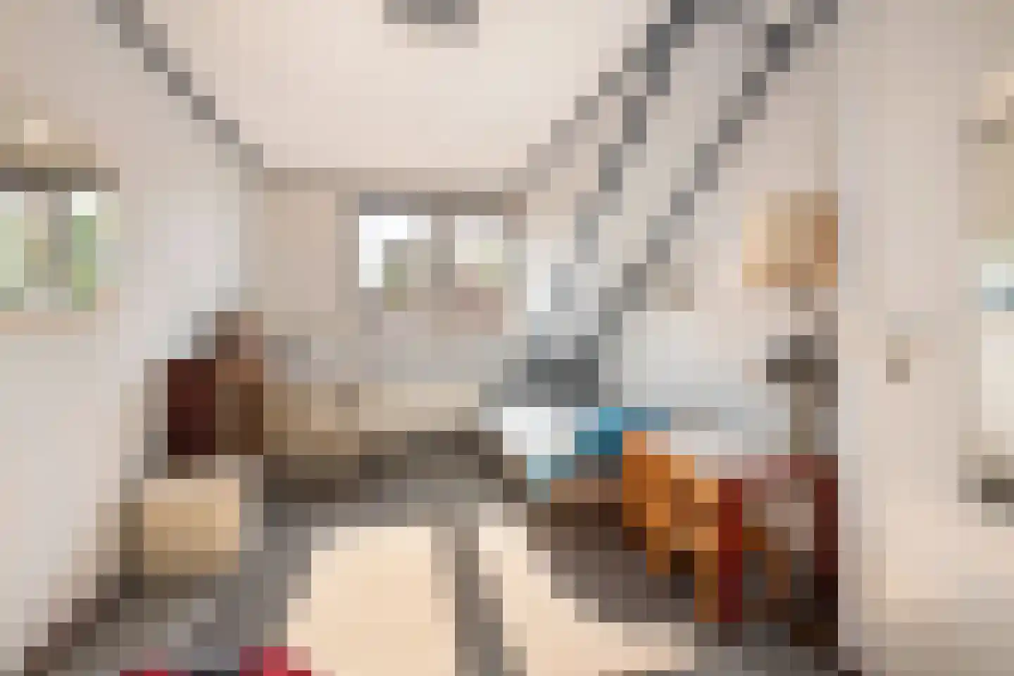 Koningsweg 20 a Geldermalsen thumbnail 22