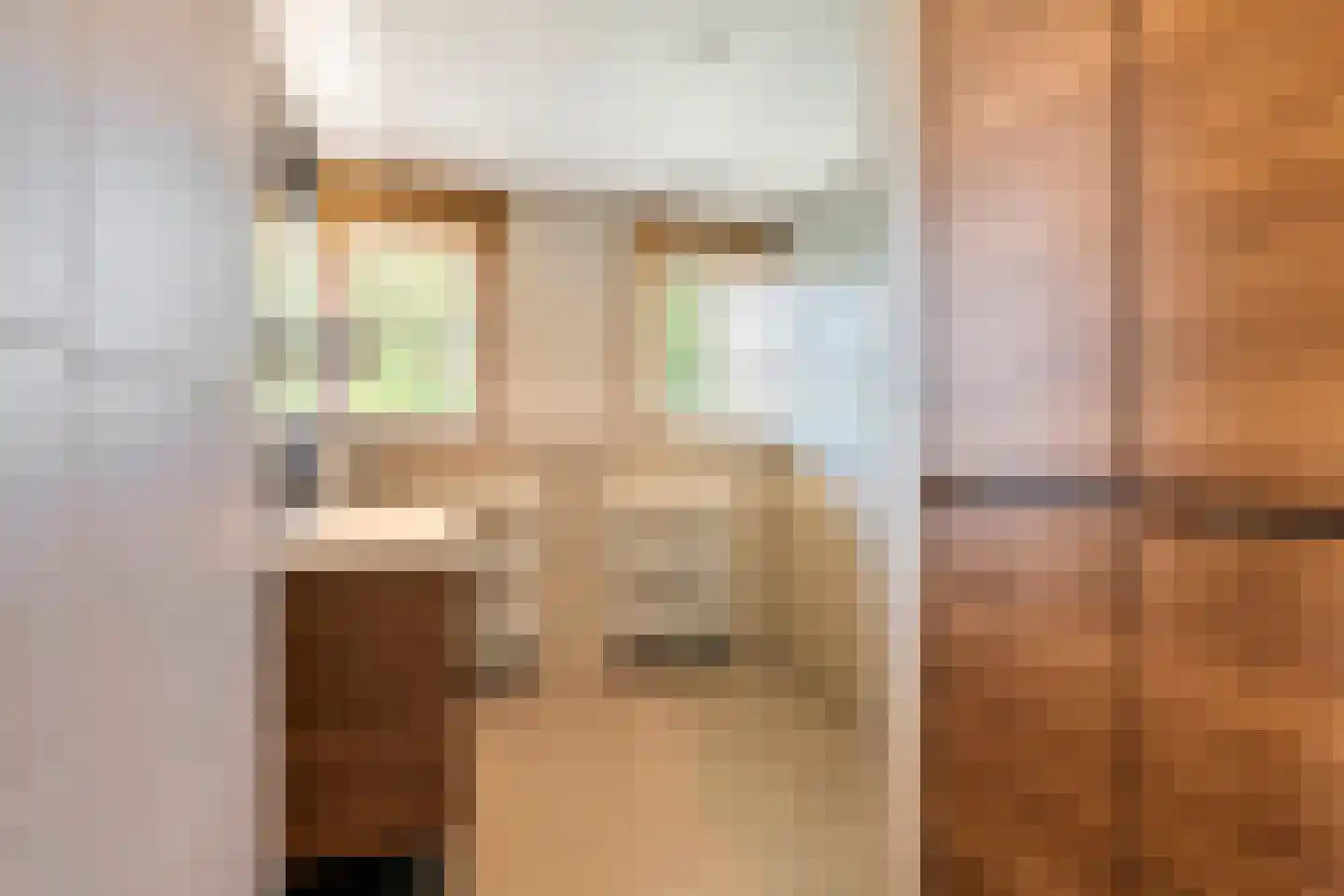 Koningsweg 20 a Geldermalsen thumbnail 28