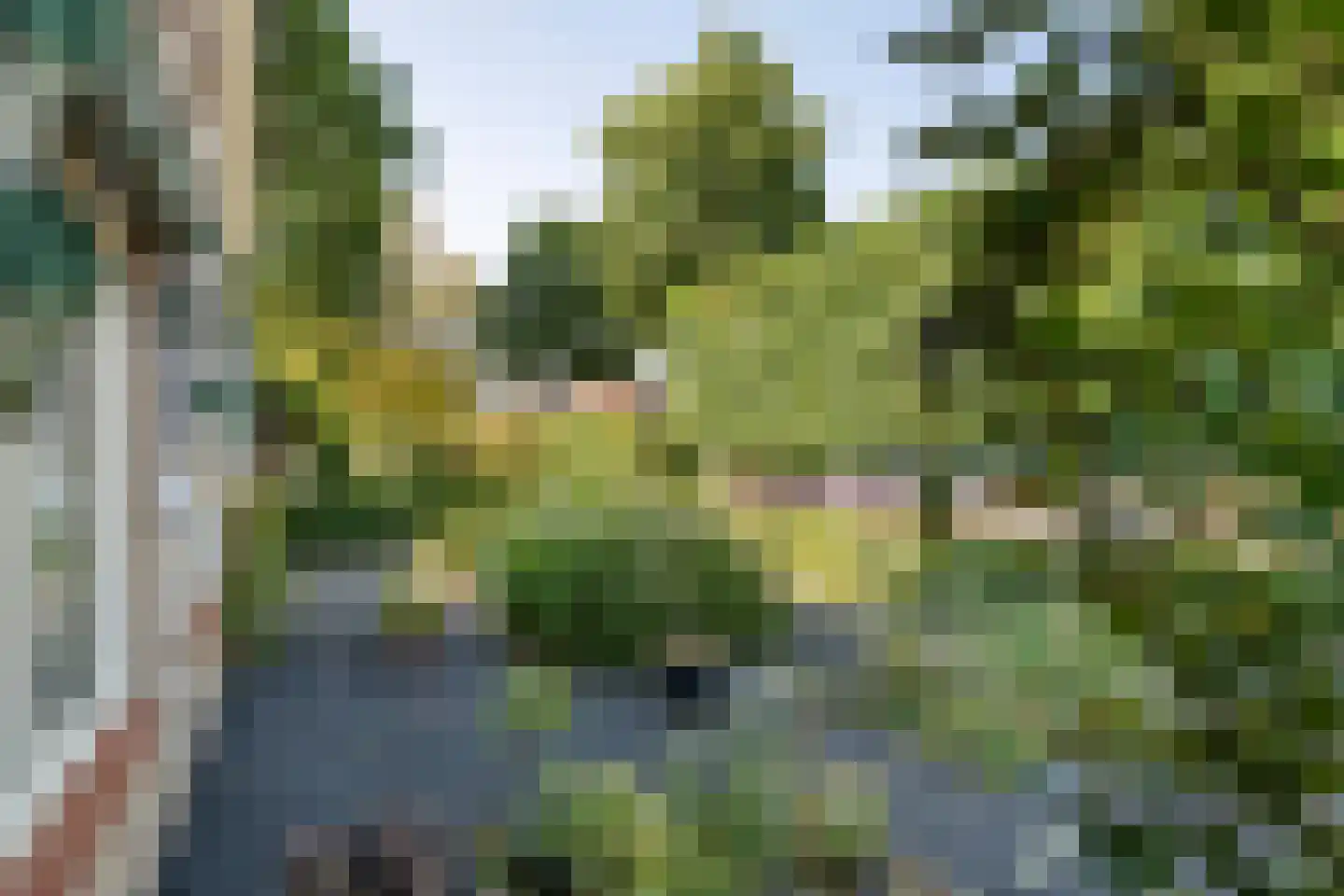 Koningsweg 20 a Geldermalsen thumbnail 32