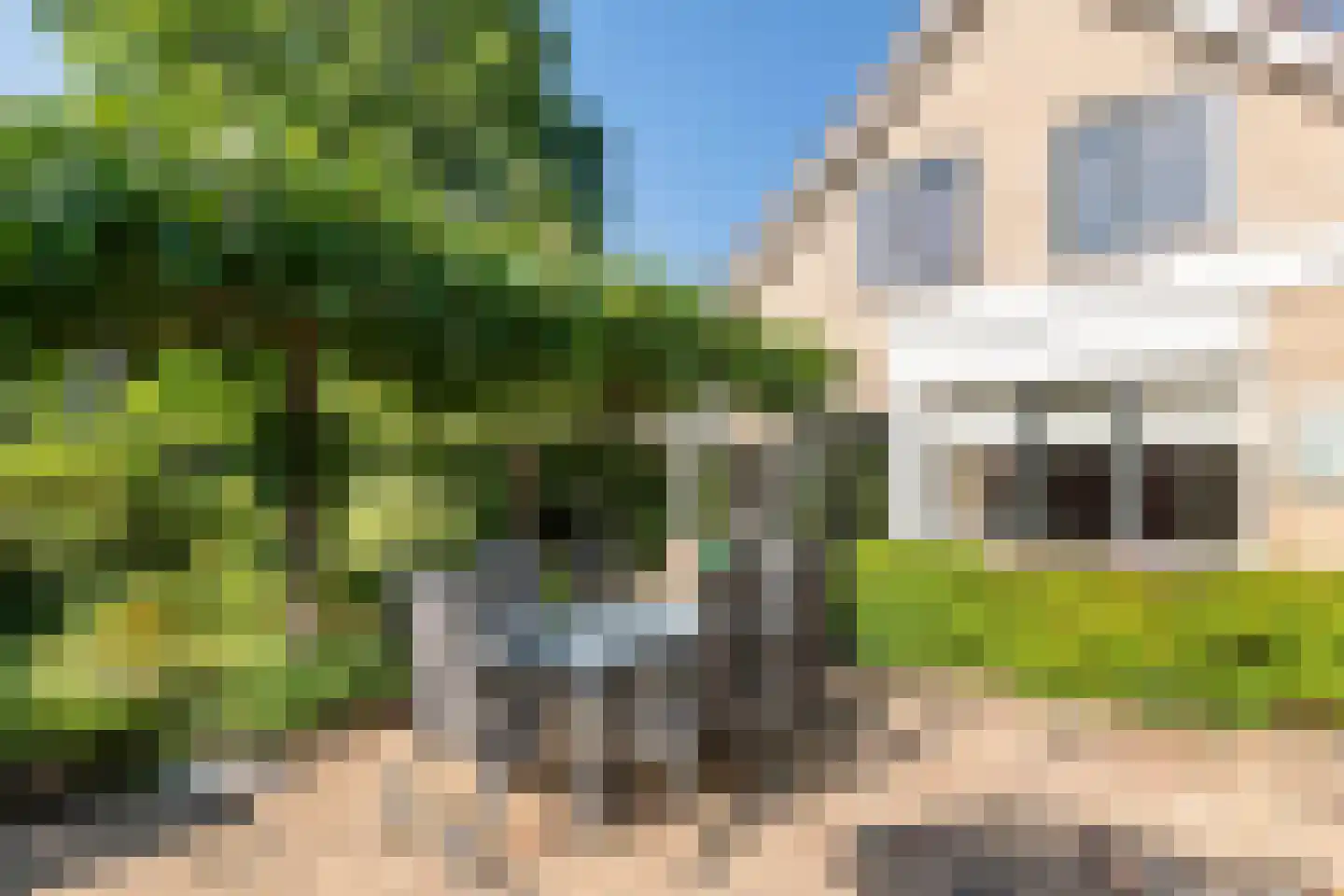 Koningsweg 20 a Geldermalsen thumbnail 35