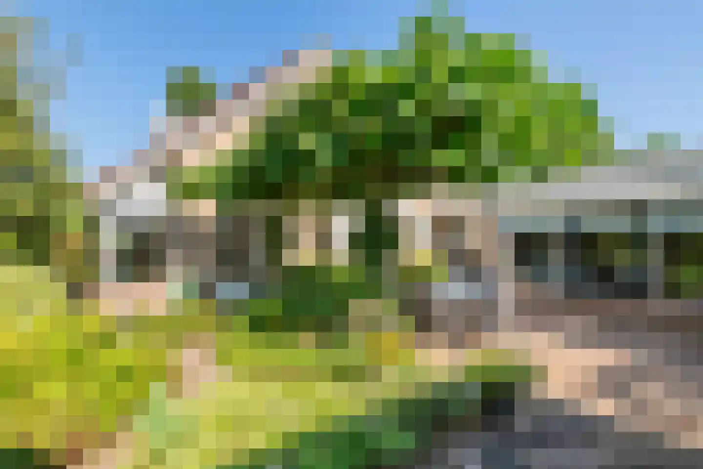 Koningsweg 20 a Geldermalsen thumbnail 37