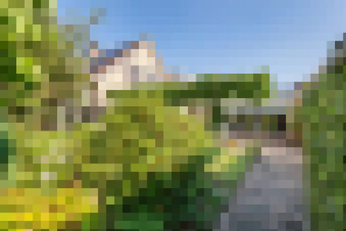 Koningsweg 20 a Geldermalsen thumbnail 38