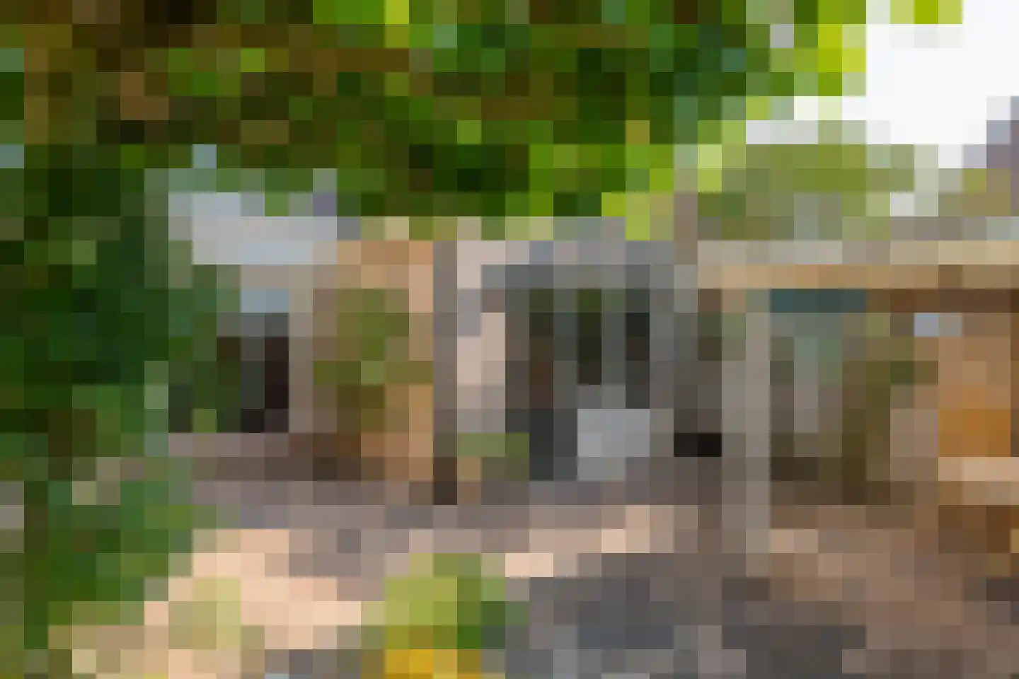 Koningsweg 20 a Geldermalsen thumbnail 39