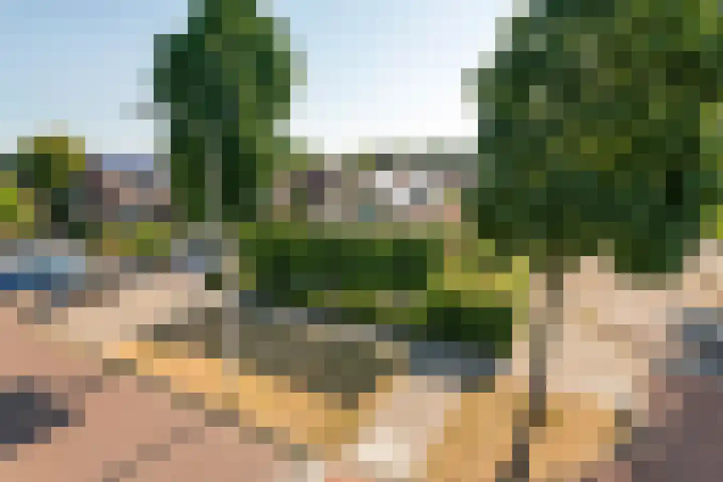 Koningsweg 20 a Geldermalsen thumbnail 40