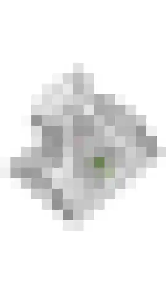 Koningsweg 20 a Geldermalsen thumbnail 44