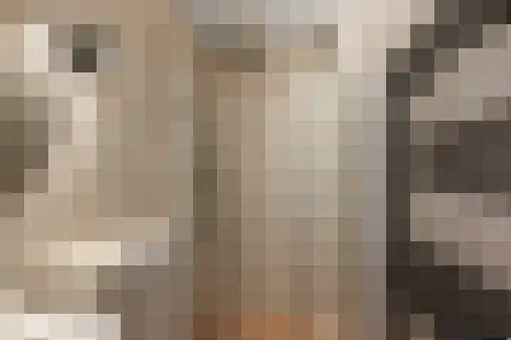 Koningsweg 20 H Alkmaar thumbnail 13
