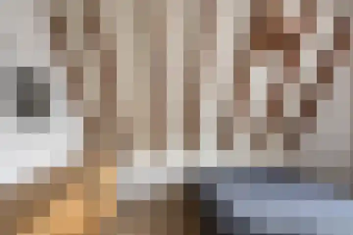 Koningsweg 20 H Alkmaar thumbnail 17