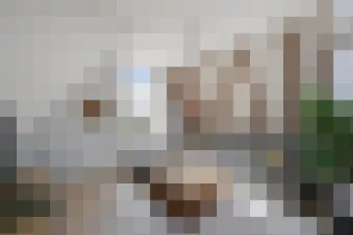 Koningsweg 20 H Alkmaar thumbnail 7