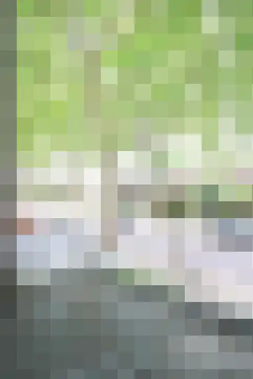 Koningsweg 210 Utrecht thumbnail 6