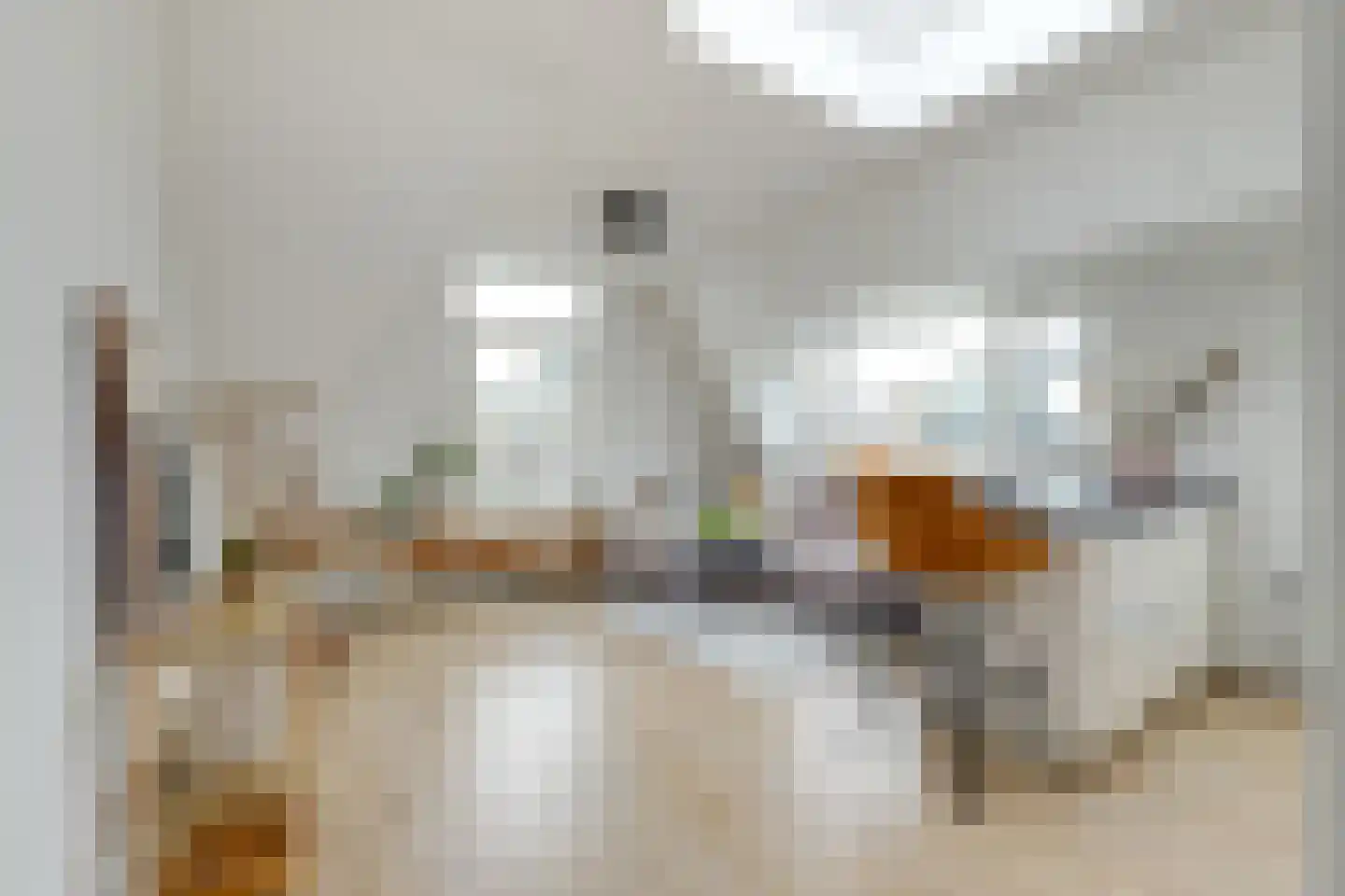Koningsweg 22 A Alkmaar thumbnail 10