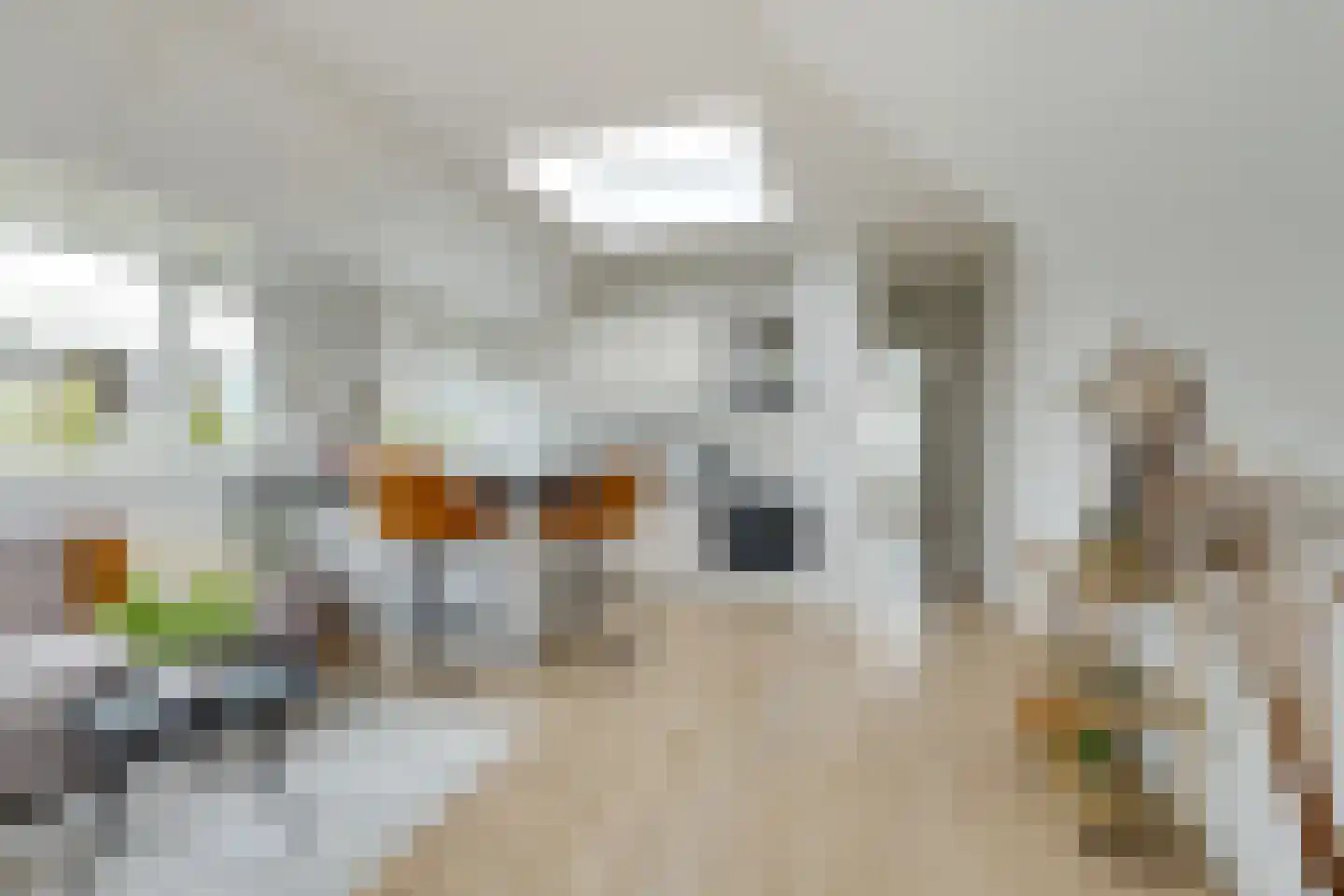 Koningsweg 22 A Alkmaar thumbnail 12