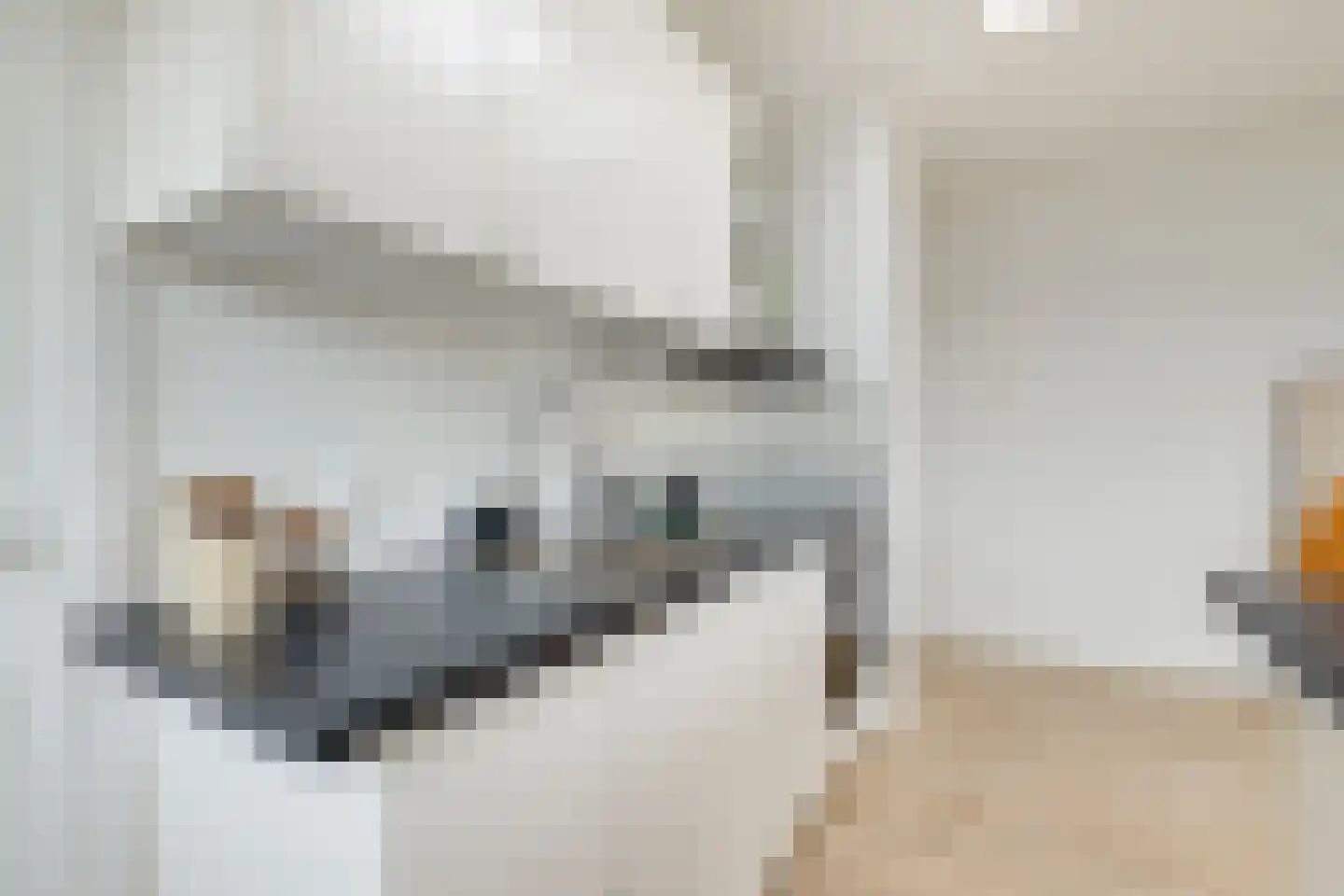 Koningsweg 22 A Alkmaar thumbnail 17