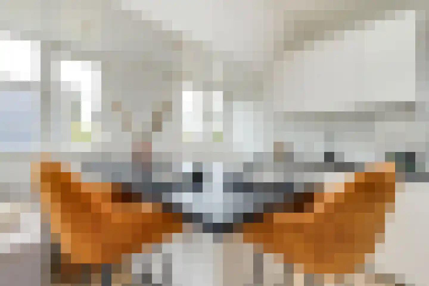 Koningsweg 22 A Alkmaar thumbnail 18