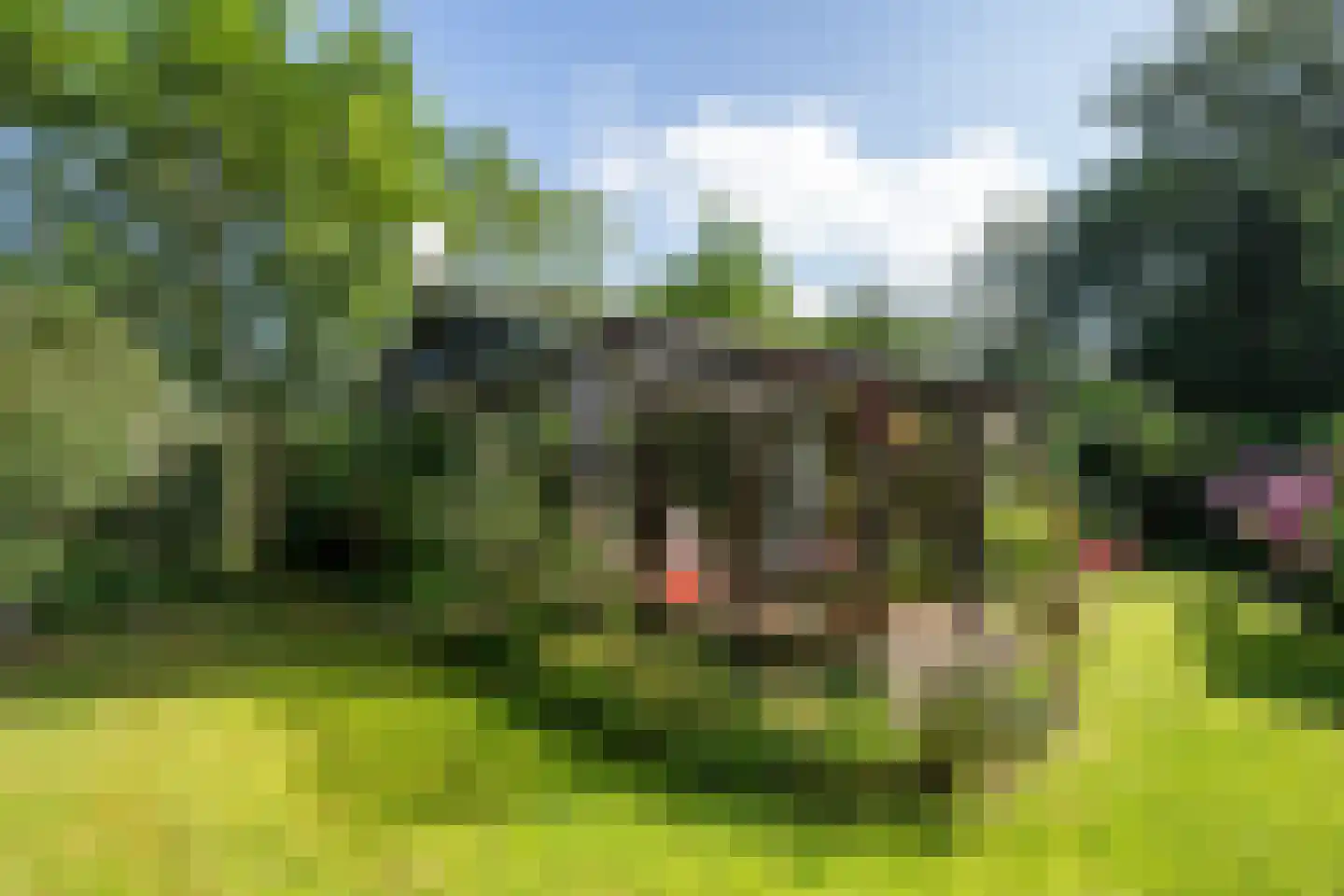 Koningsweg 22 Oosterend
