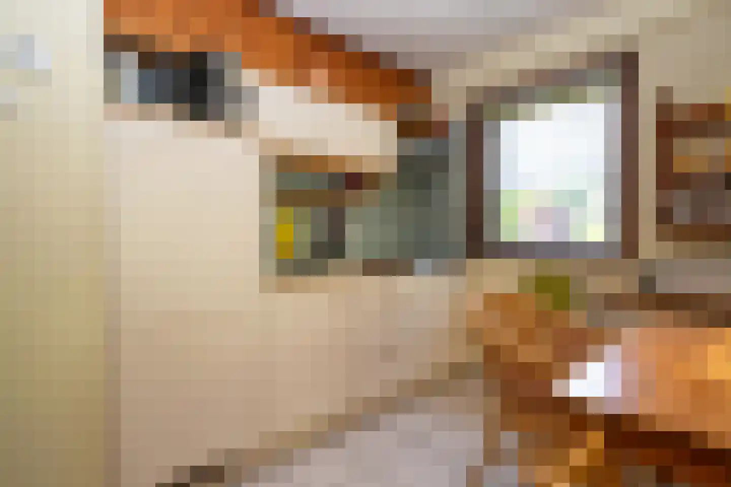 Koningsweg 22 Oosterend thumbnail 16