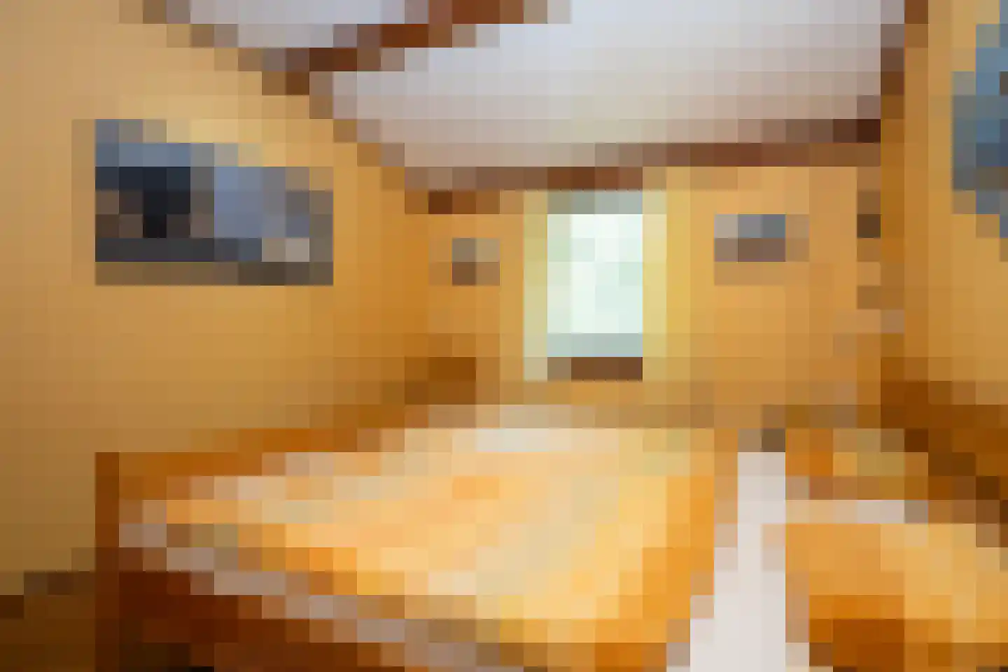 Koningsweg 22 Oosterend thumbnail 21