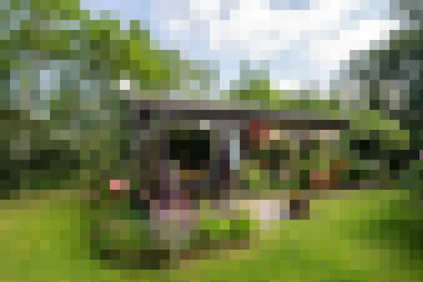 Koningsweg 22 Oosterend thumbnail 29
