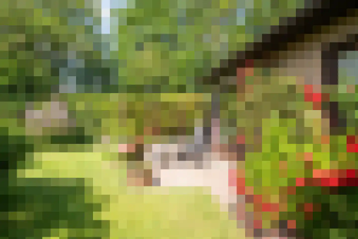 Koningsweg 22 Oosterend thumbnail 30