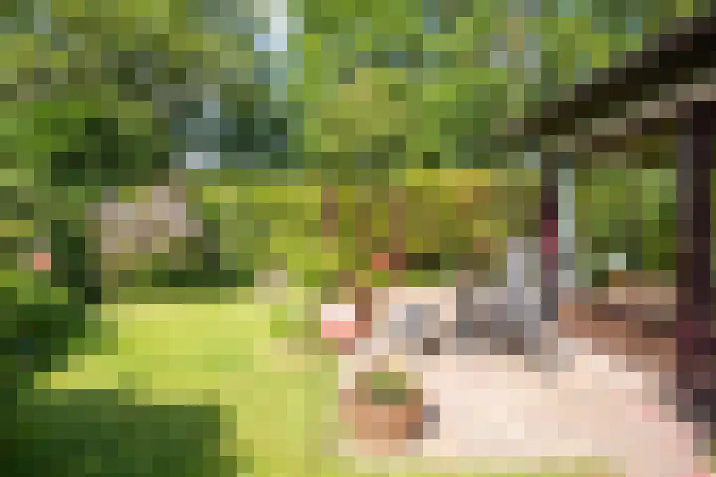 Koningsweg 22 Oosterend thumbnail 33