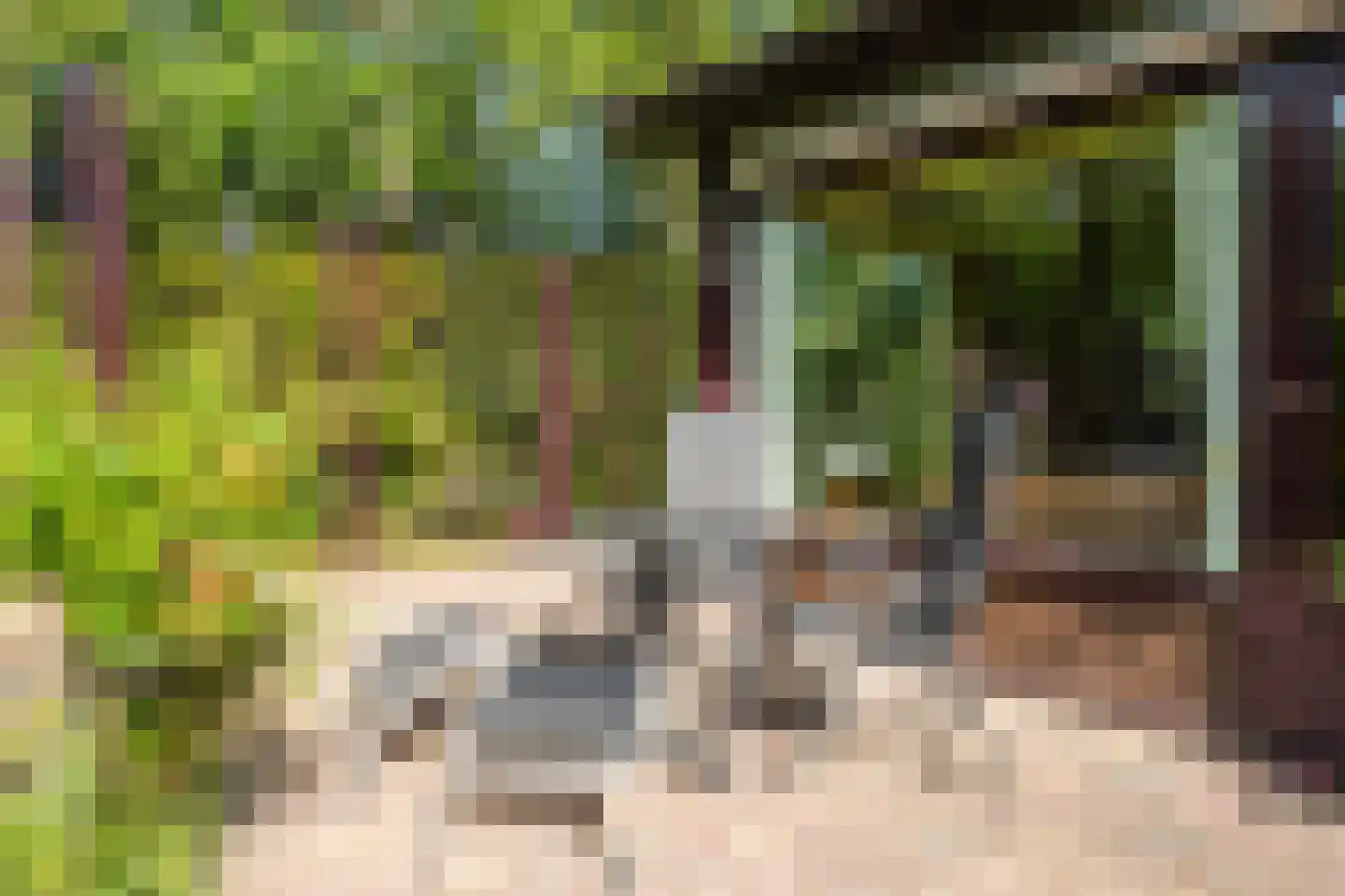 Koningsweg 22 Oosterend thumbnail 35