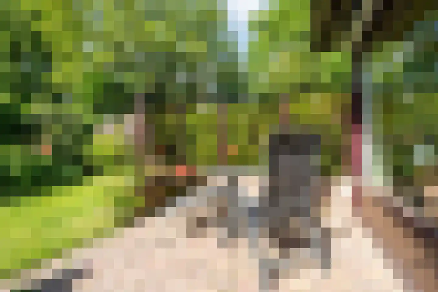 Koningsweg 22 Oosterend thumbnail 36
