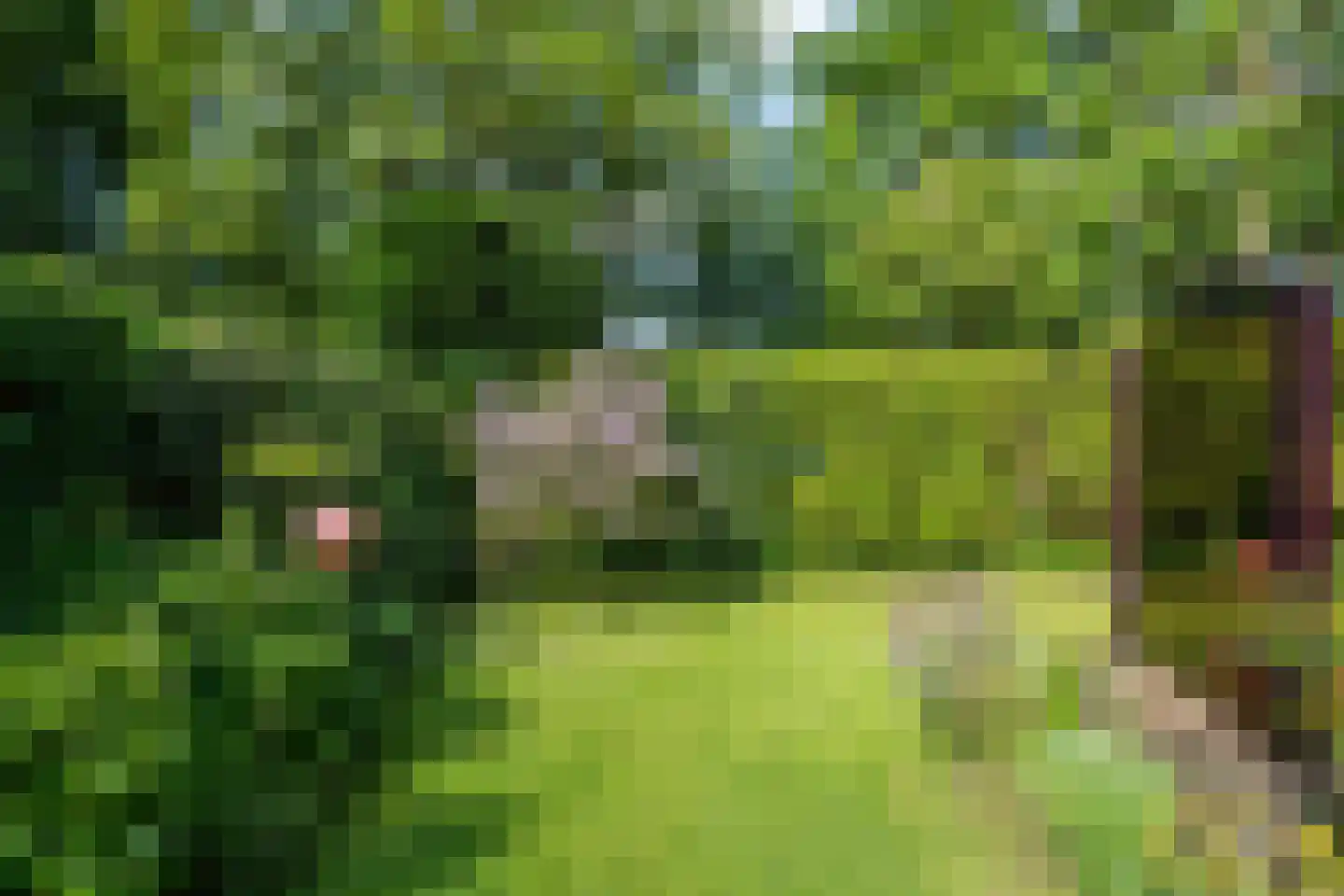 Koningsweg 22 Oosterend thumbnail 37
