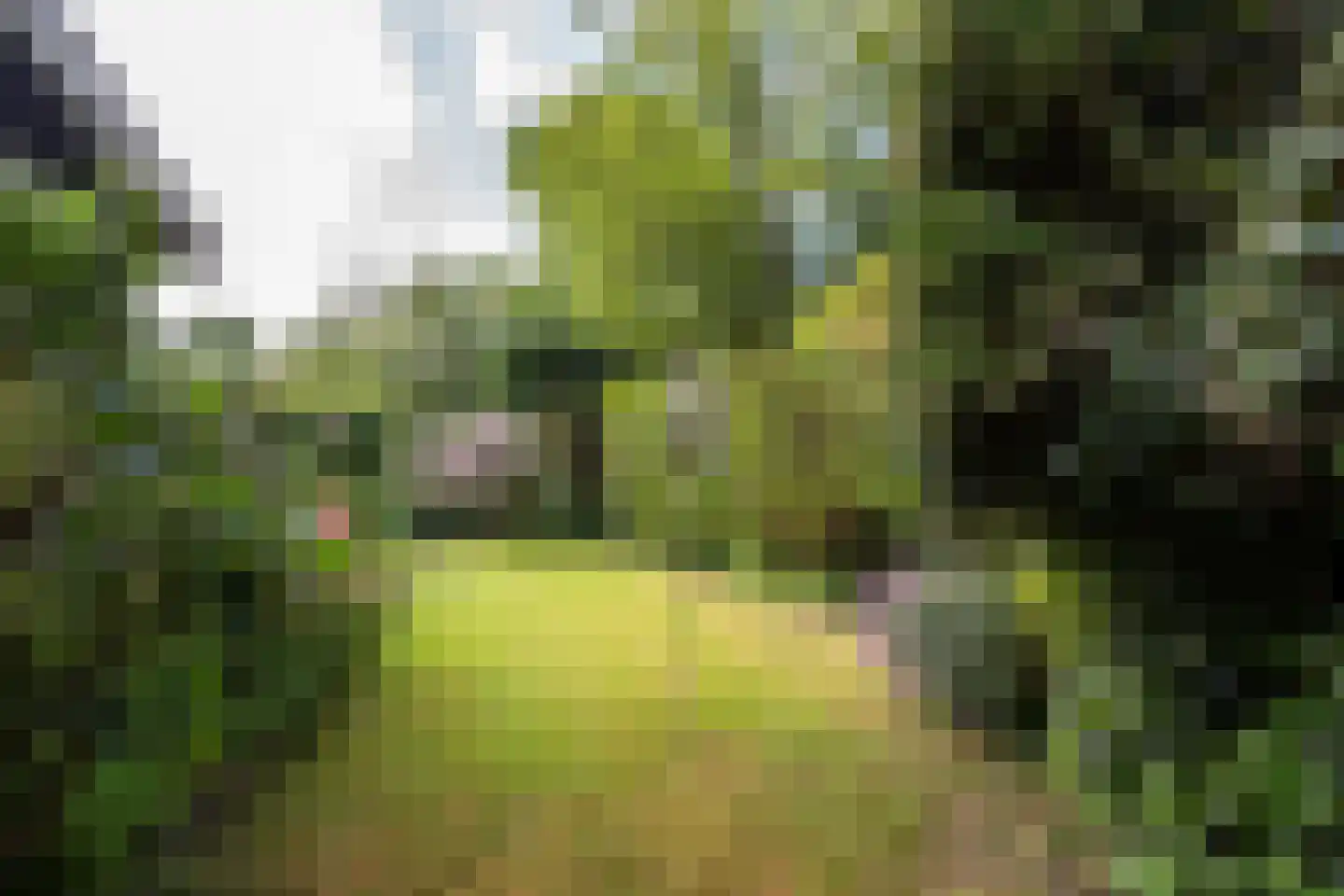 Koningsweg 22 Oosterend thumbnail 41