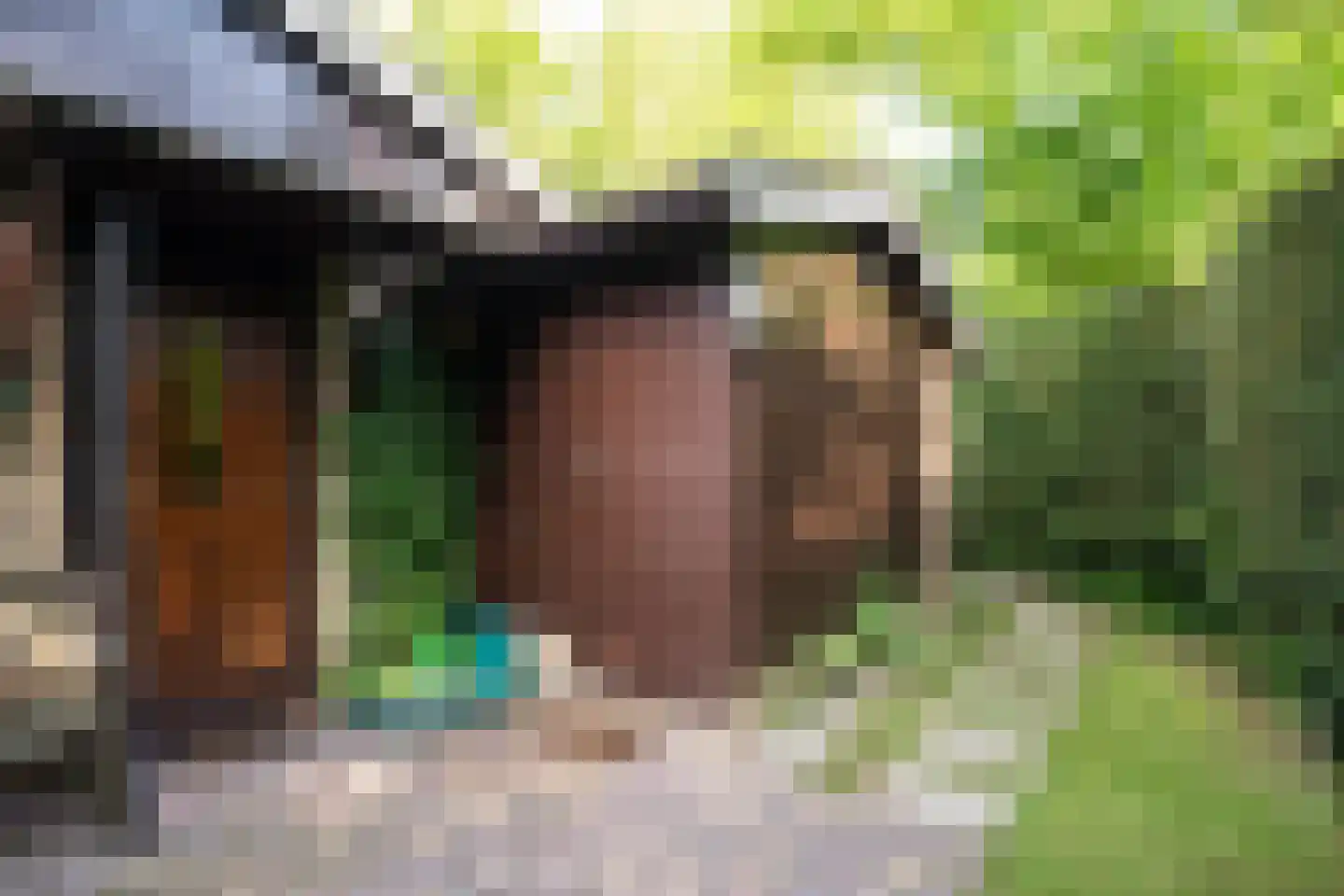 Koningsweg 22 Oosterend thumbnail 44