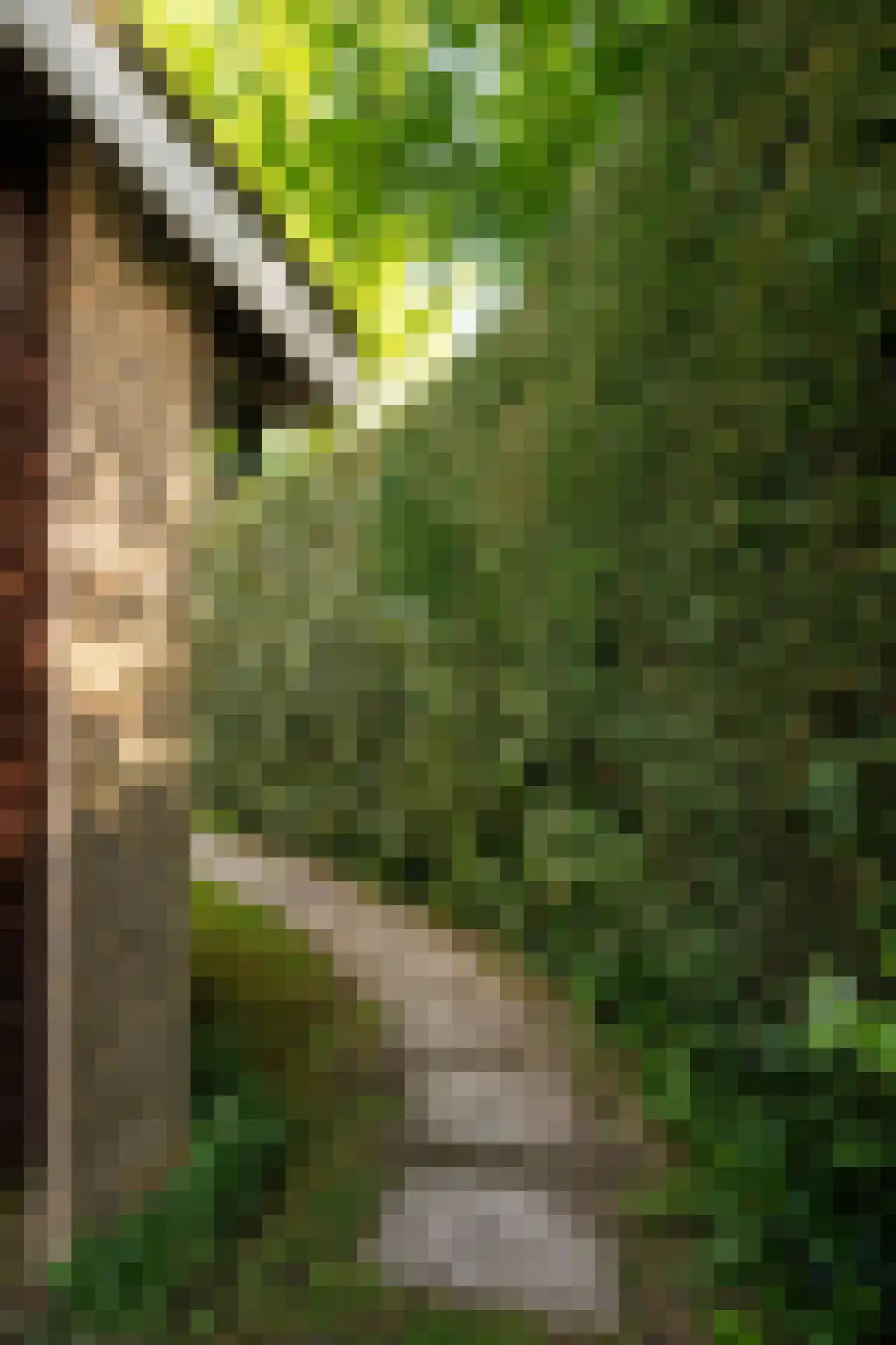 Koningsweg 22 Oosterend thumbnail 48