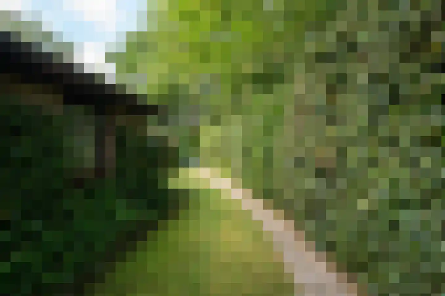 Koningsweg 22 Oosterend thumbnail 49