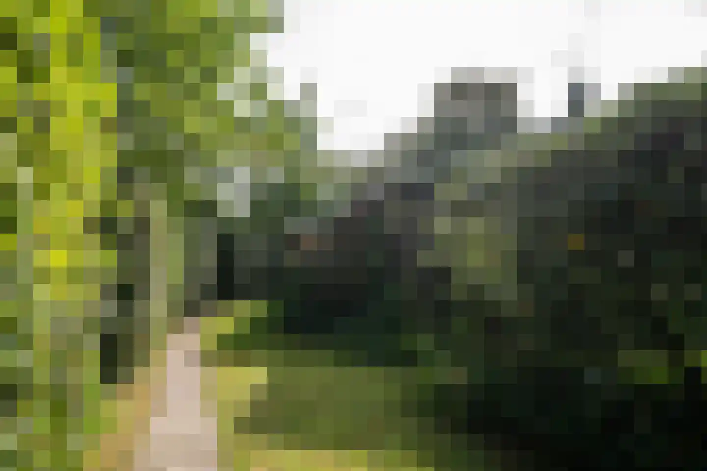Koningsweg 22 Oosterend thumbnail 50