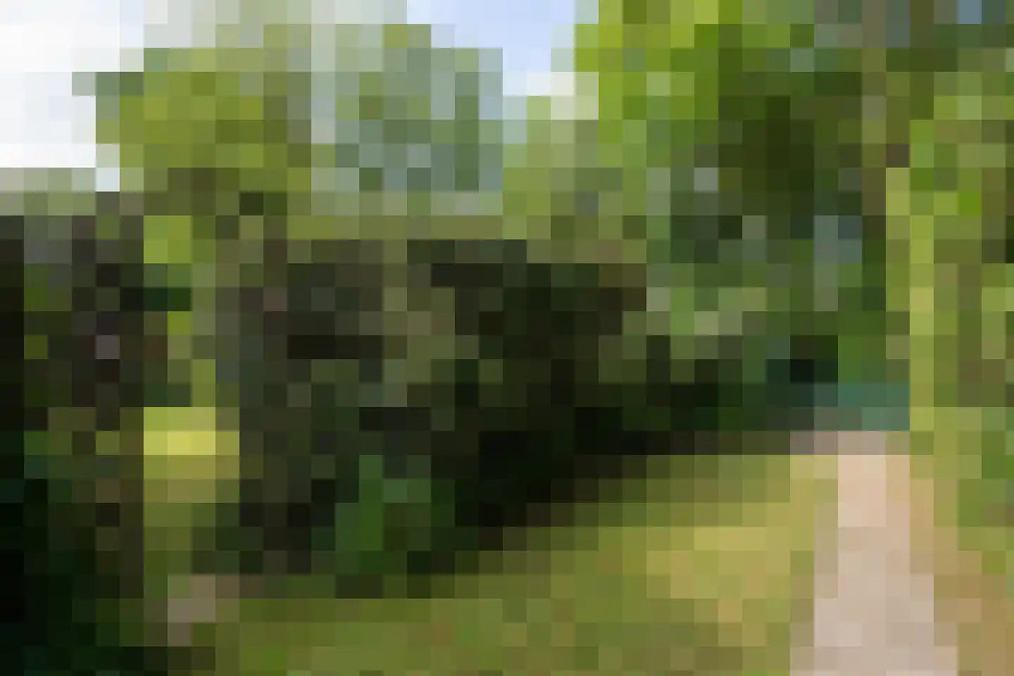 Koningsweg 22 Oosterend thumbnail 51