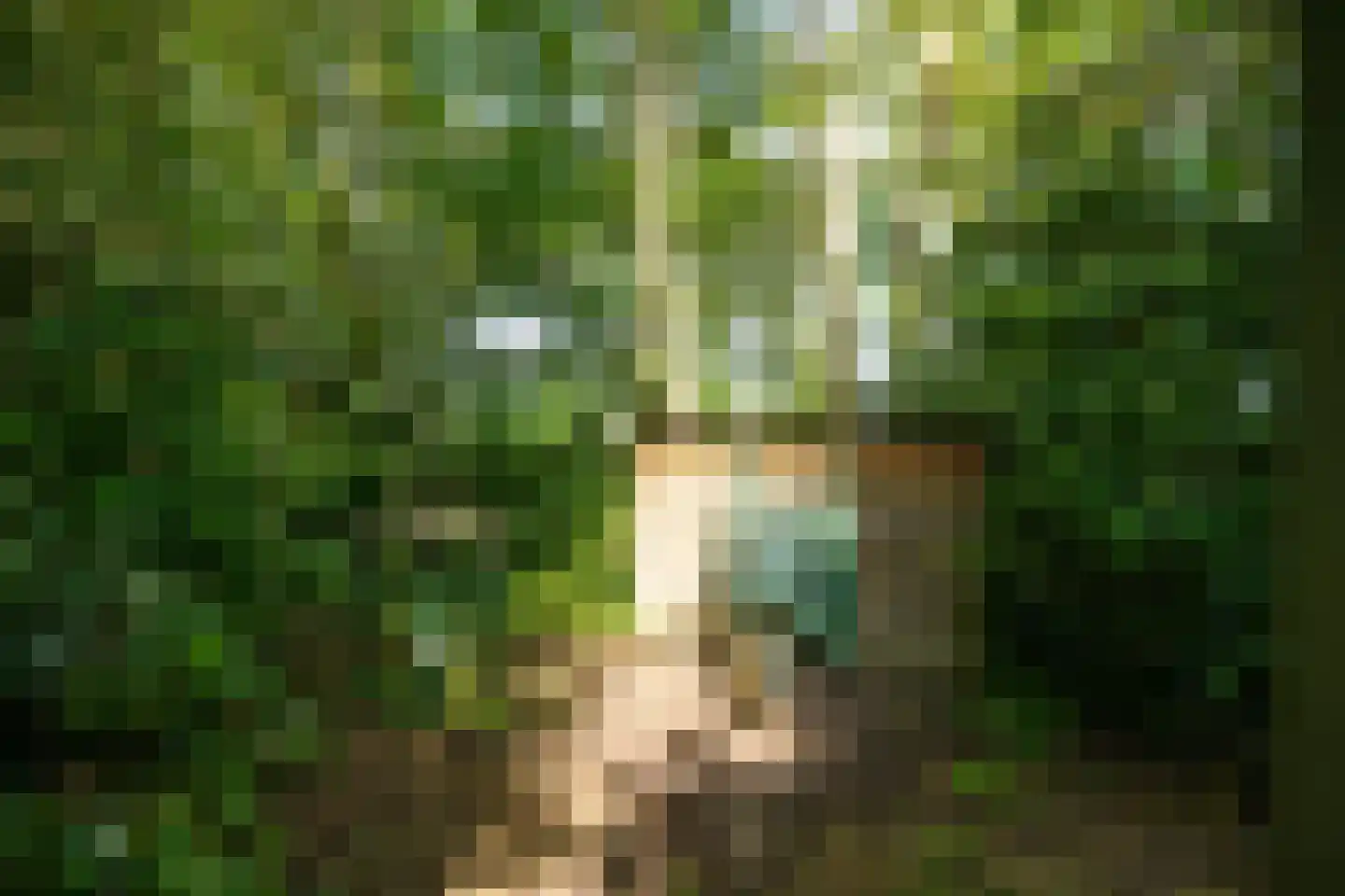 Koningsweg 22 Oosterend thumbnail 53