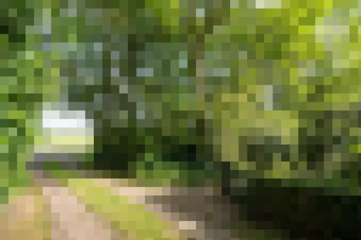 Koningsweg 22 Oosterend thumbnail 54