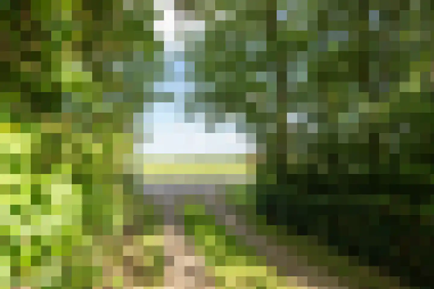 Koningsweg 22 Oosterend thumbnail 56