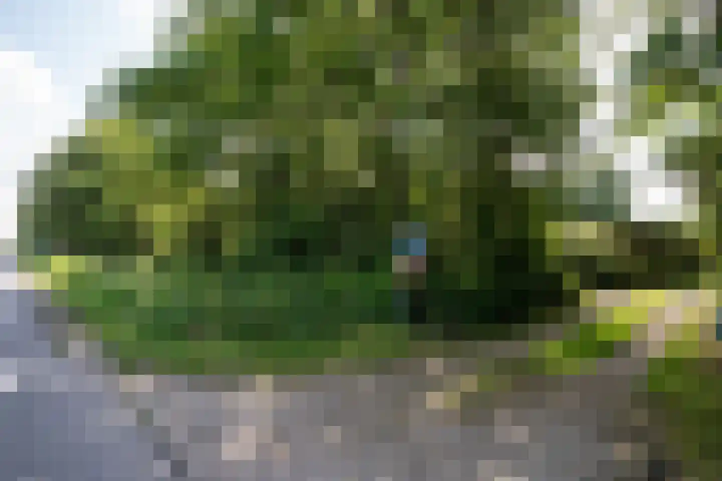 Koningsweg 22 Oosterend thumbnail 57