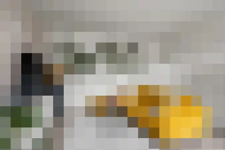 Koningsweg 23 A Utrecht thumbnail 10