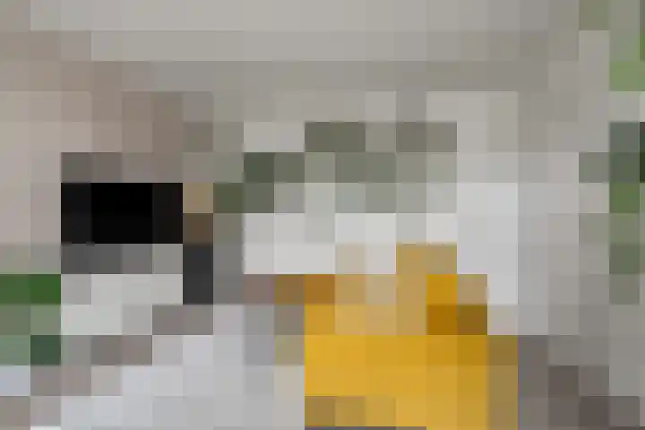 Koningsweg 23 A Utrecht thumbnail 11