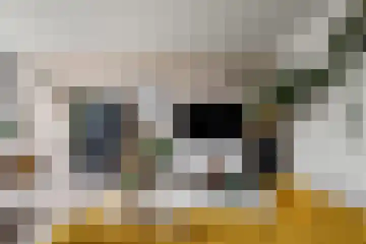 Koningsweg 23 A Utrecht thumbnail 12