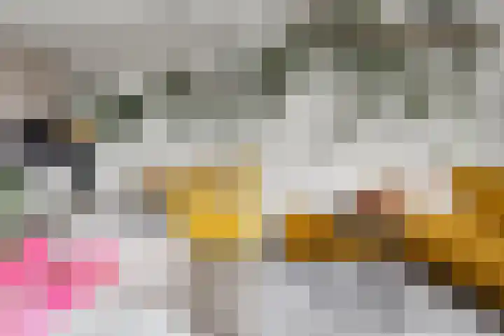 Koningsweg 23 A Utrecht thumbnail 19