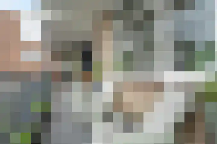Koningsweg 23 A Utrecht thumbnail 20