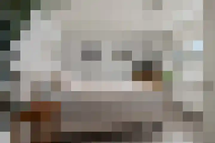 Koningsweg 23 A Utrecht thumbnail 23